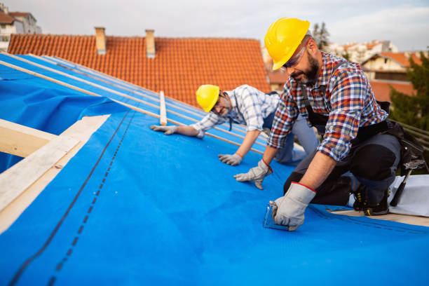 Best Flat Roof Repair Services  in Hauula, HI